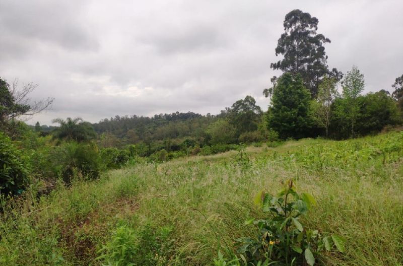 GLEBA URBANA COM ÁEREA DE 18.271,45 m², localizado em Pareci Novo - RS