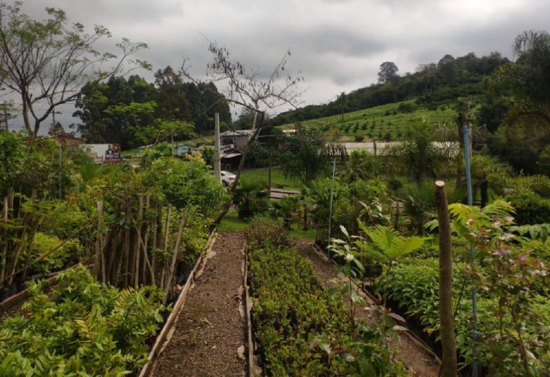 GLEBA URBANA COM ÁEREA DE 18.271,45 m², localizado em Pareci Novo - RS