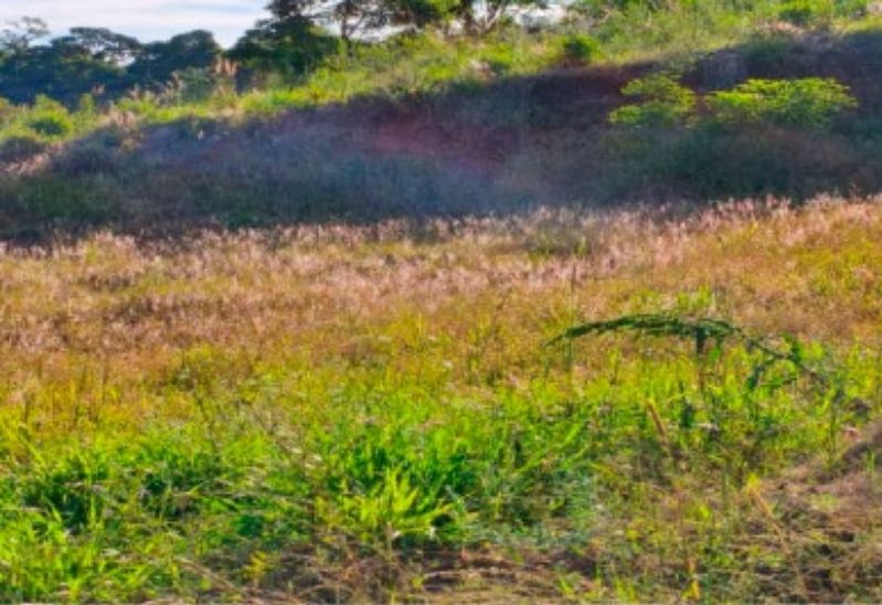 Terreno com área de 371,22m², localizado em Frederico Westphalen - RS, bairro Jardim Paraíso