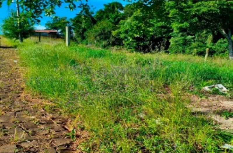 Terreno Urbano com área de 375,65m², localizado em Frederico Westphalen - RS, bairro Jardim Paraíso