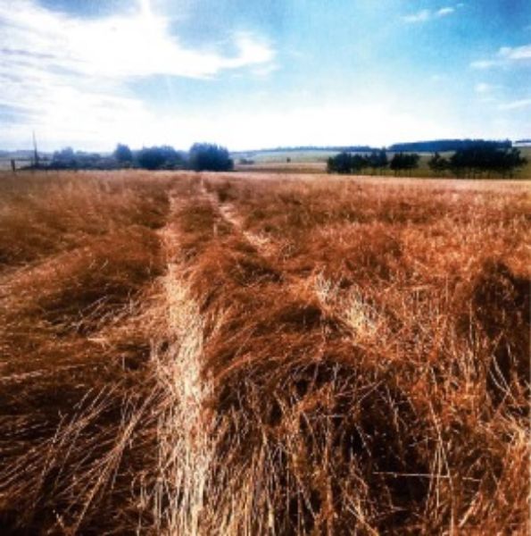 Terreno rural com área de 55.158,57m2, localizado em Boa Vista Do Cadeado - RS