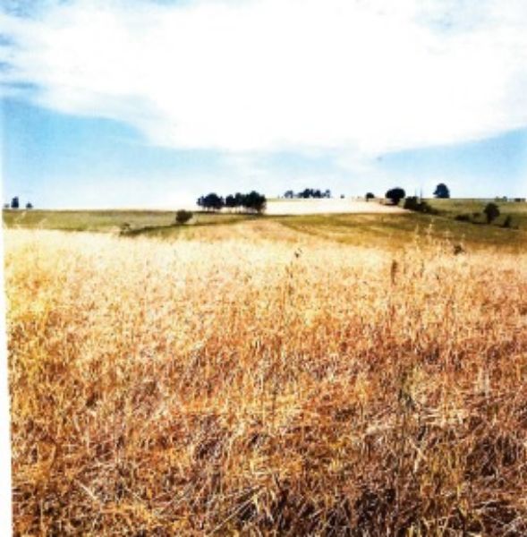 Terreno rural com área de 55.158,57m2, localizado em Boa Vista Do Cadeado - RS
