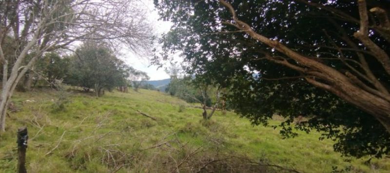 Área rural com 150.000,00m² em Barra do Saltinho, localizado em Seara - SC, bairro Barra Grande