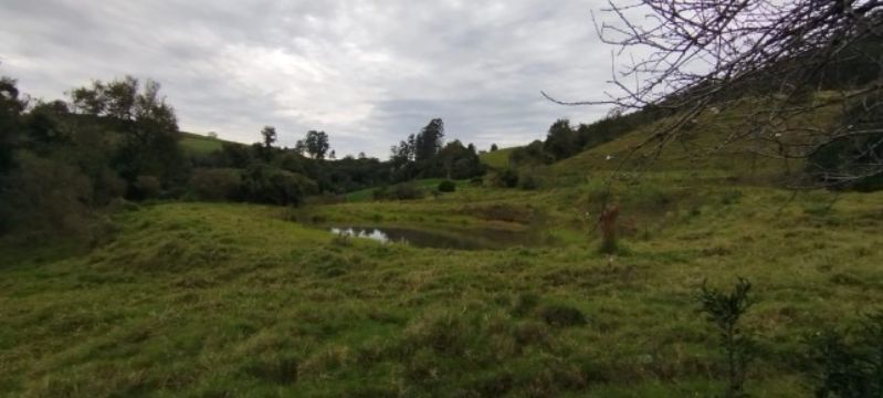 Área rural com 150.000,00m² em Barra do Saltinho, localizado em Seara - SC, bairro Barra Grande