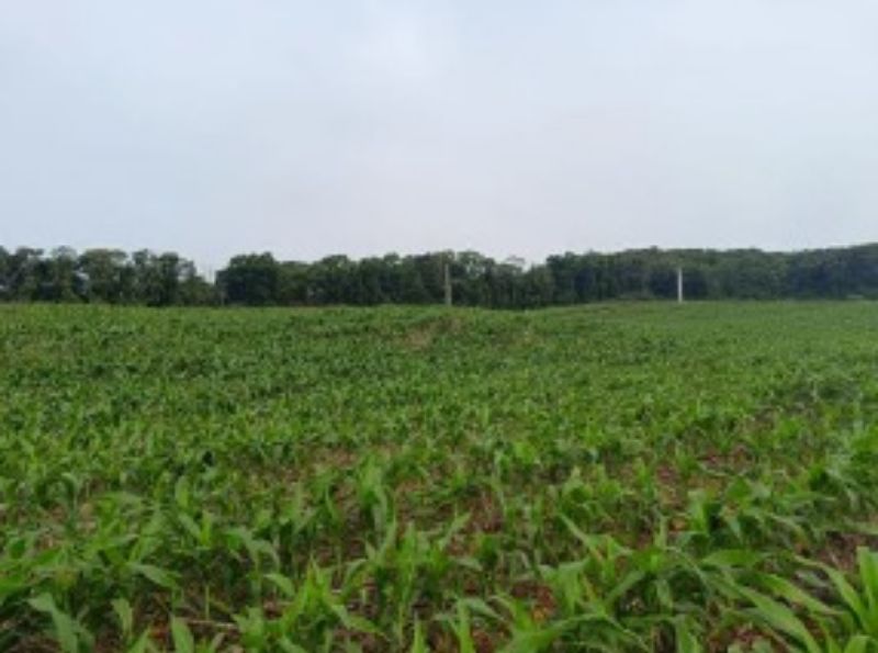 Terreno em Linha São José com 3.000,00m², localizado em Concórdia - SC