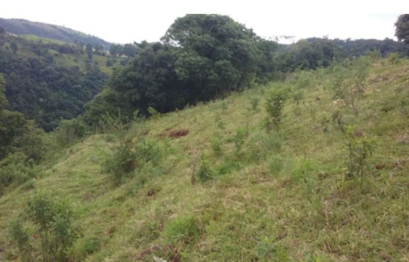 Área rural com área de 125.000 m2 Linha Pelizza, localizado em Xavantina - SC