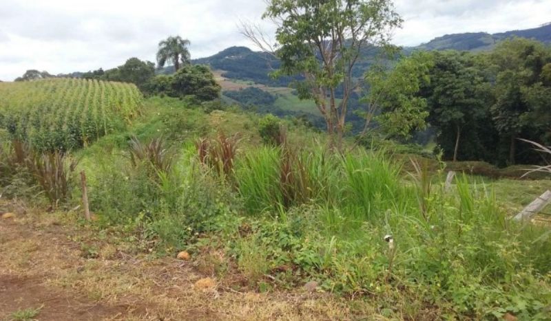 Área rural com área de 125.000 m2 Linha Pelizza, localizado em Xavantina - SC