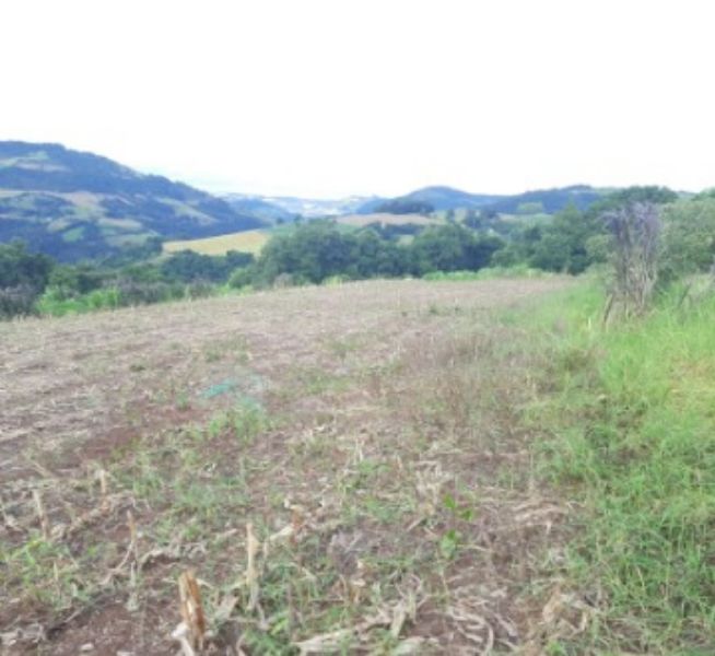 Área rural com área de 125.000 m2 Linha Pelizza, localizado em Xavantina - SC