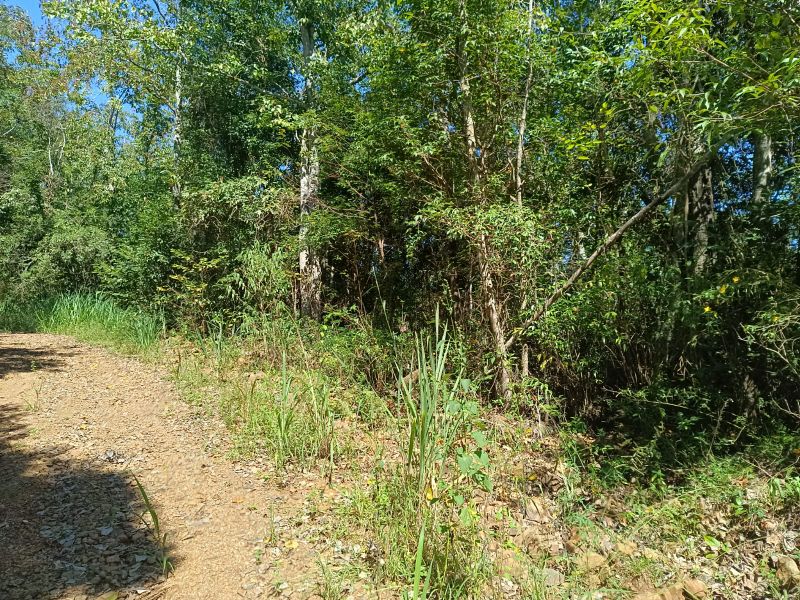 Área rural com 59.200,63m² em Linha Santana, localizado em Ipira - SC