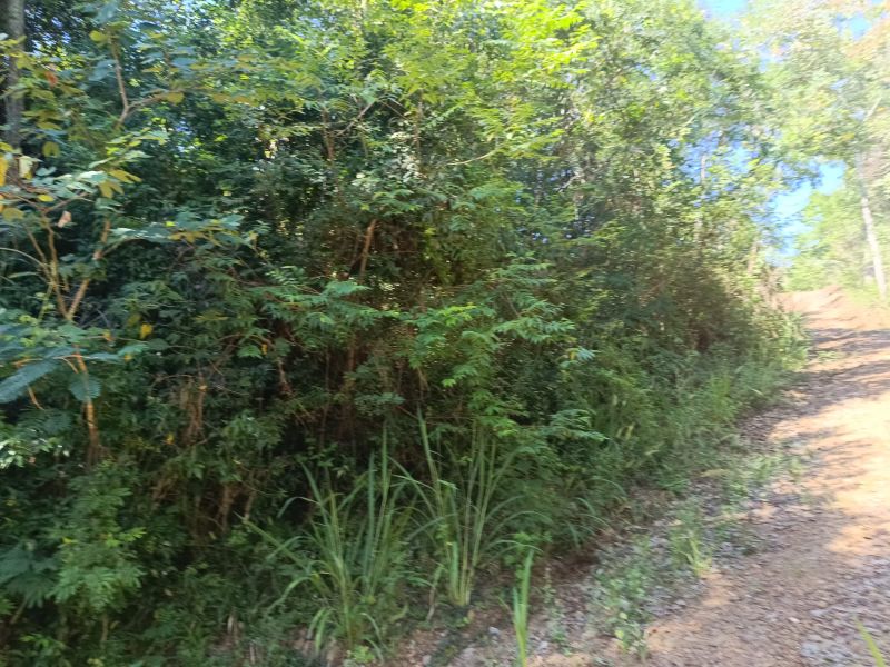 Área rural com 59.200,63m² em Linha Santana, localizado em Ipira - SC