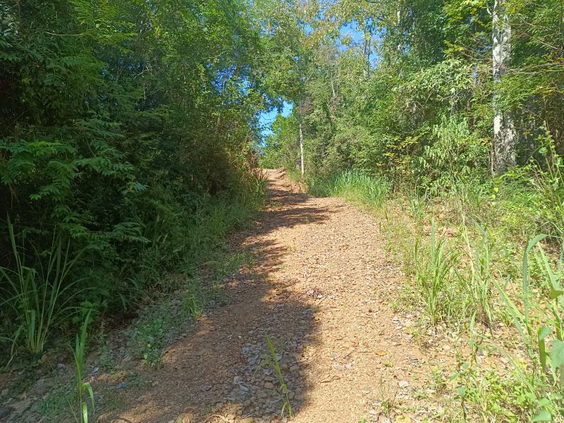 Área rural com 59.200,63m² em Linha Santana, localizado em Ipira - SC