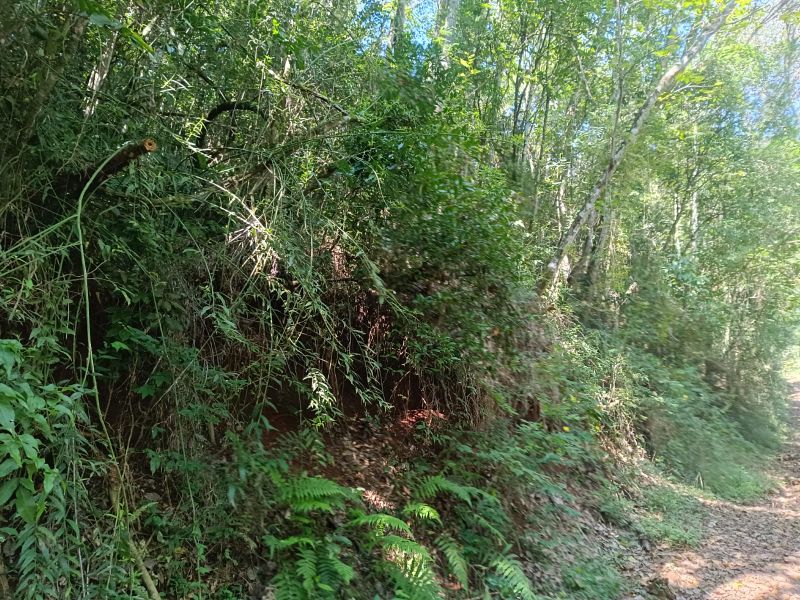 Área rural com 59.200,63m² em Linha Santana, localizado em Ipira - SC