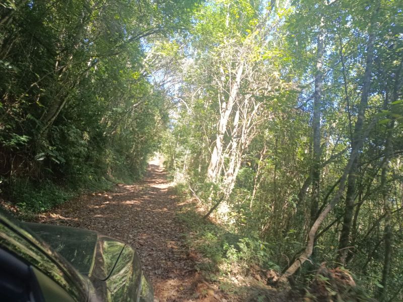 Área rural com 59.200,63m² em Linha Santana, localizado em Ipira - SC