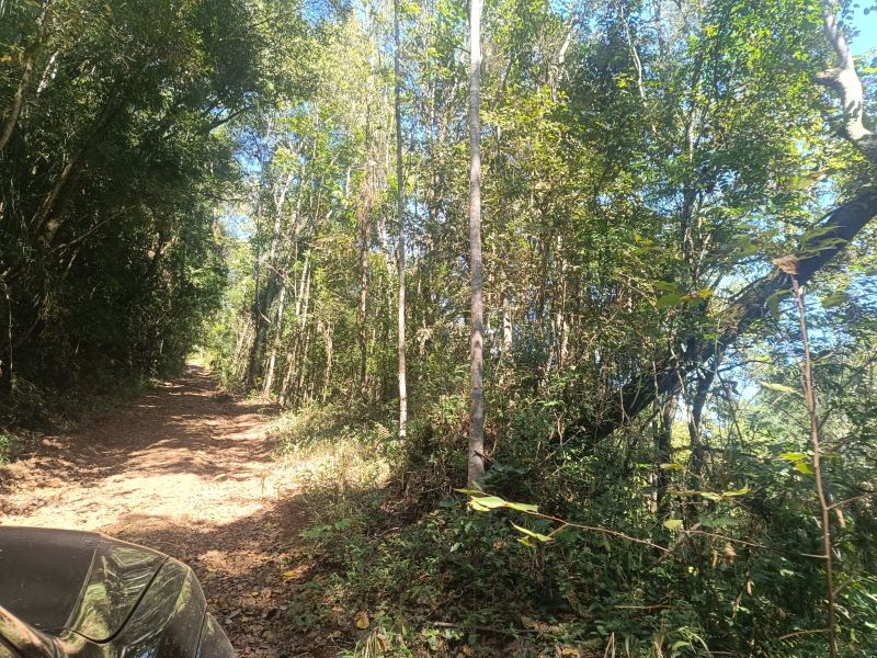 Área rural com 59.200,63m² em Linha Santana, localizado em Ipira - SC