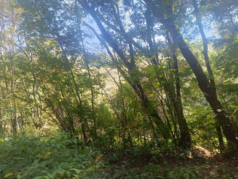 Área rural com 59.200,63m² em Linha Santana, localizado em Ipira - SC