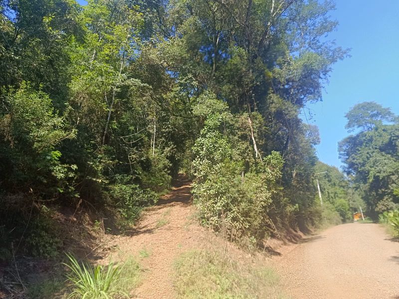 Área rural com 59.200,63m² em Linha Santana, localizado em Ipira - SC