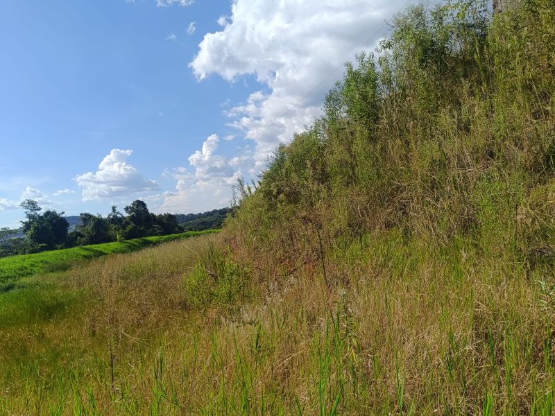 Terreno Rural com 96.800,00m² na Linha Missioneiro, localizado em Piratuba - SC
