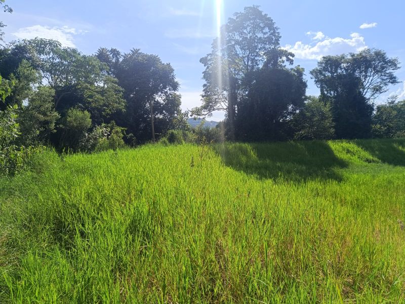 Terreno Rural com 96.800,00m² na Linha Missioneiro, localizado em Piratuba - SC