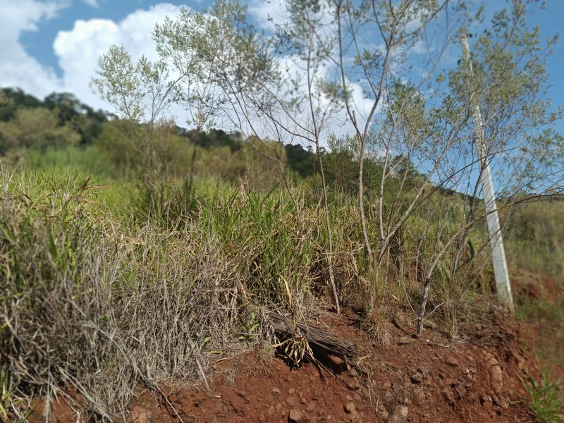 Terreno Rural com 96.800,00m² na Linha Missioneiro, localizado em Piratuba - SC