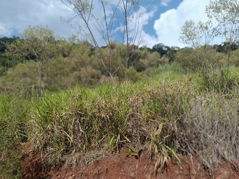 Terreno Rural com 96.800,00m² na Linha Missioneiro, localizado em Piratuba - SC