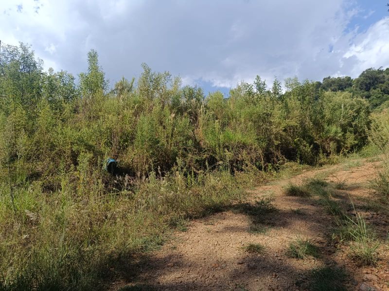 Terreno Rural com 96.800,00m² na Linha Missioneiro, localizado em Piratuba - SC