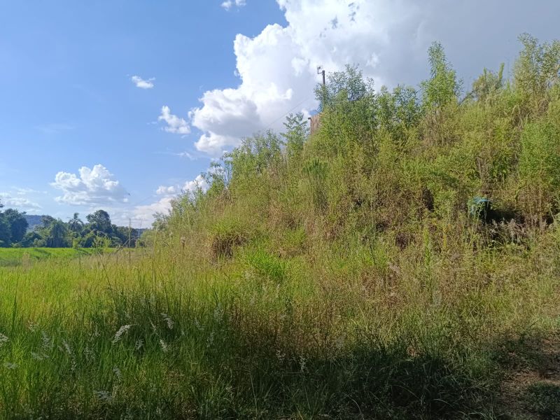 Terreno Rural com 96.800,00m² na Linha Missioneiro, localizado em Piratuba - SC