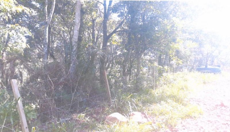 Terreno rural com 30.000m² em Linha Ipiranga, localizado em Seara - SC