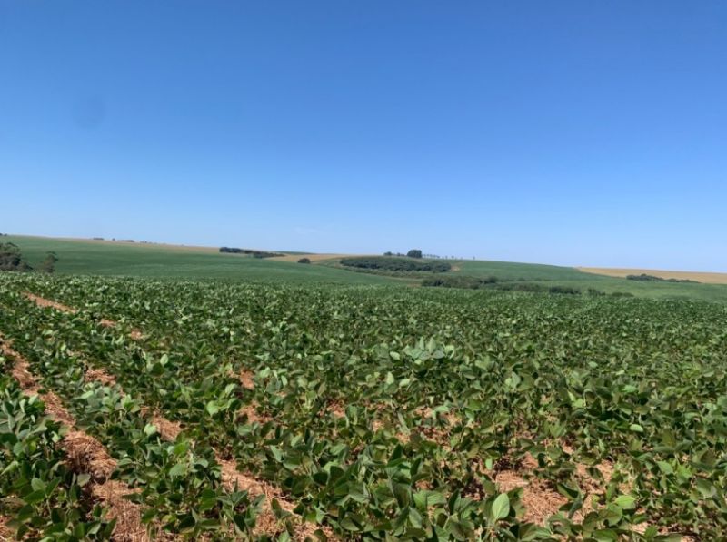 Área rural com 210.000 m² em Carazinho/RS, localizado em Carazinho - RS
