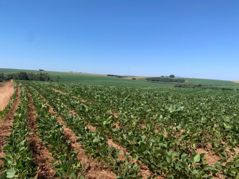 Área rural com 210.000 m² em Carazinho/RS, localizado em Carazinho - RS