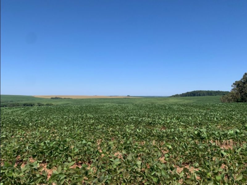 Área rural com 210.000 m² em Carazinho/RS, localizado em Carazinho - RS