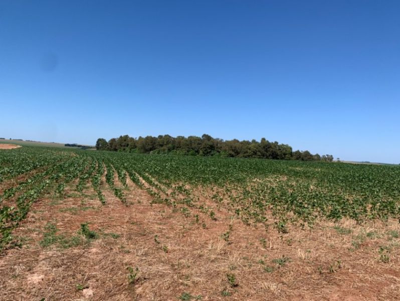 Área rural com 210.000 m² em Carazinho/RS, localizado em Carazinho - RS