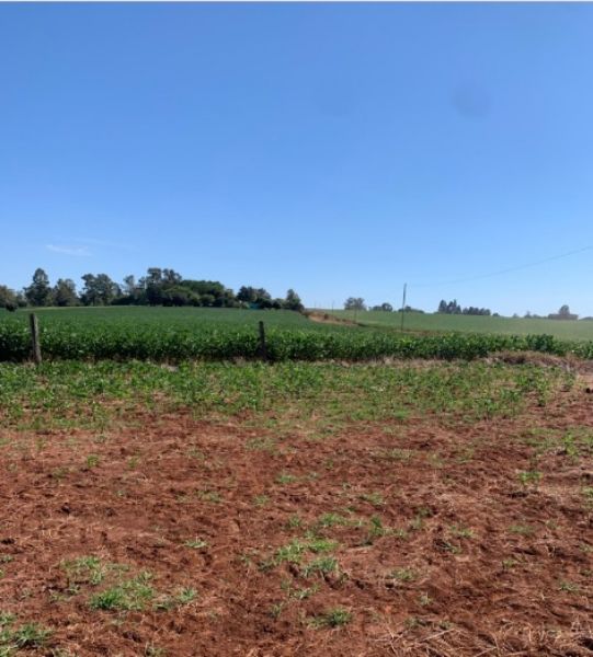 Área rural com 210.000 m² em Carazinho/RS, localizado em Carazinho - RS