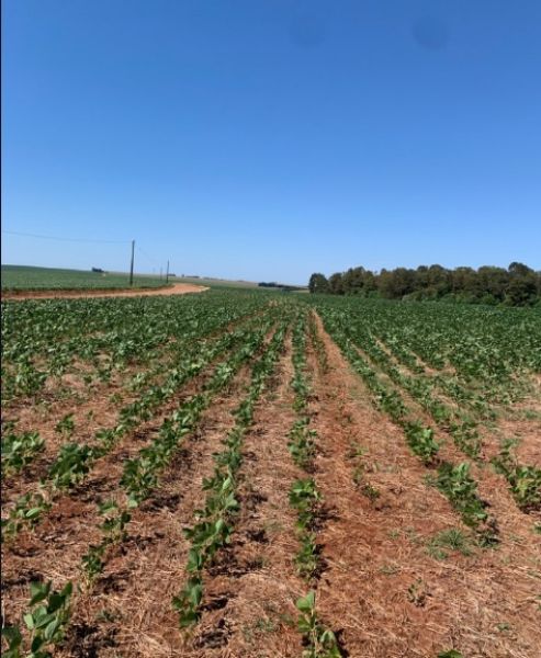 Área rural com 210.000 m² em Carazinho/RS, localizado em Carazinho - RS
