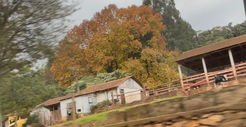 Área rural com 116.179,08m²  em Linha Capelinha, localizado em Ipira - SC