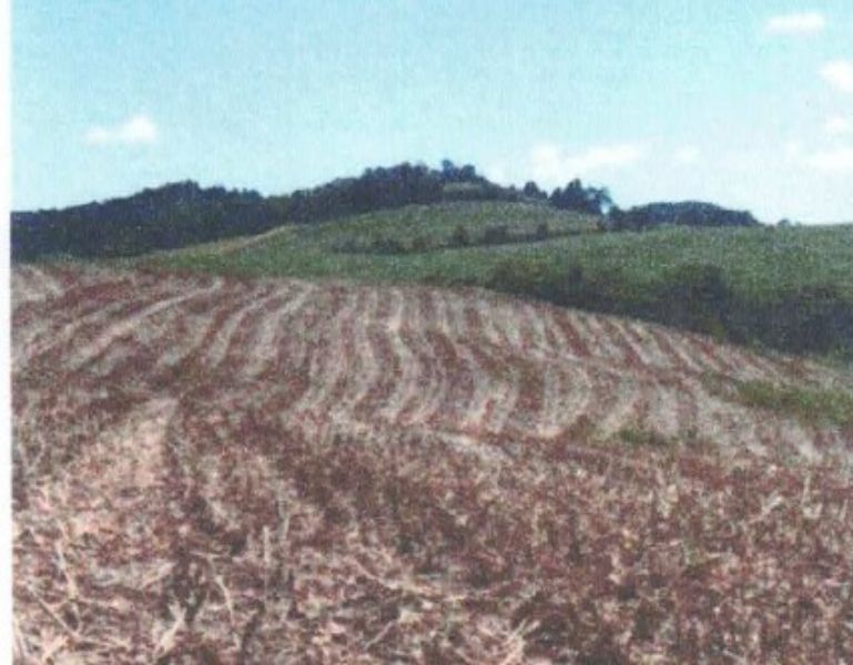 Fração ideal com área de 47.247,39m², localizado em Charrua - RS