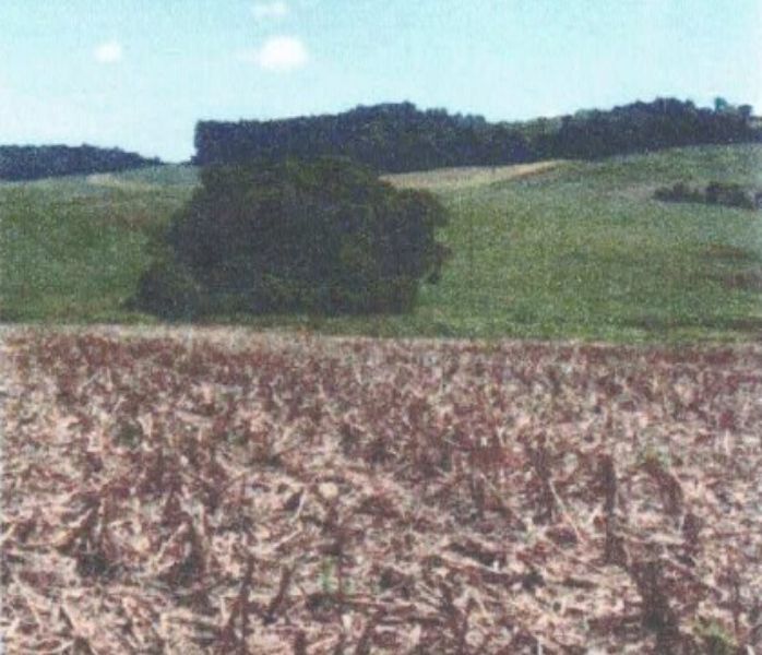 Fração ideal com área de 47.247,39m², localizado em Charrua - RS