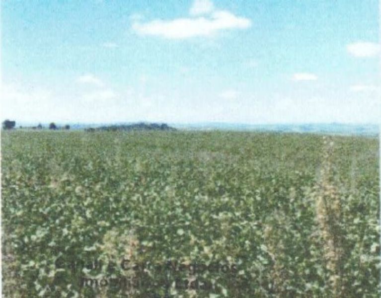 Fração ideal com área de 47.247,39m², localizado em Charrua - RS