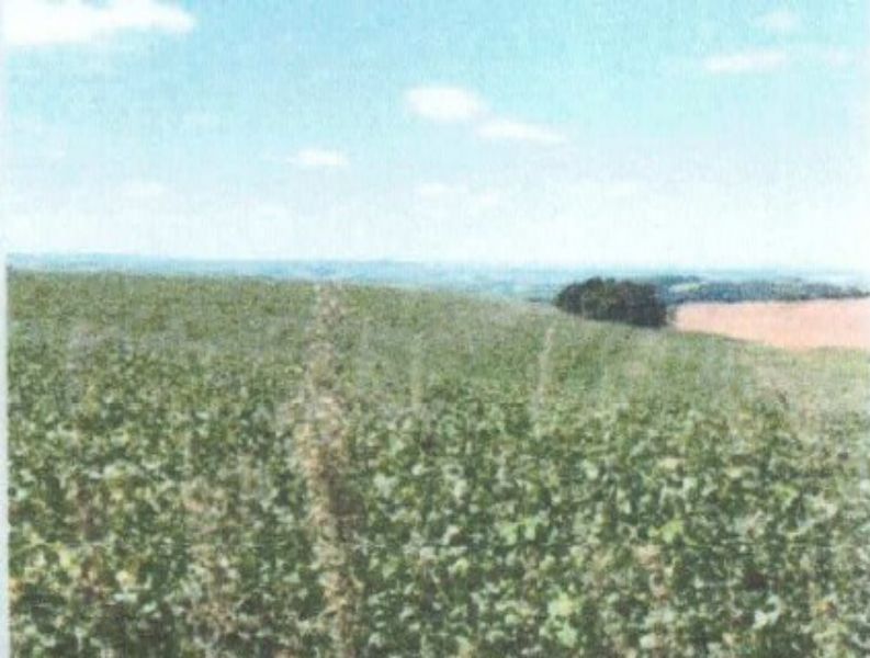 Fração ideal com área de 47.247,39m², localizado em Charrua - RS