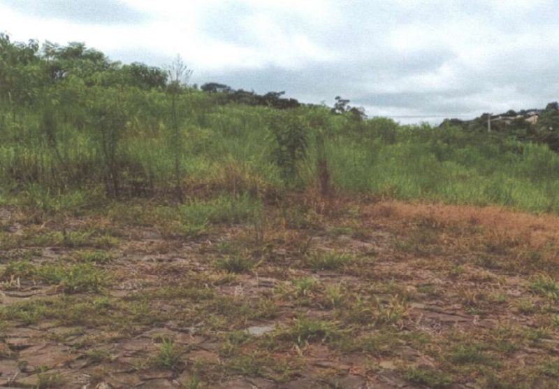 Dois terrenos, Um com 917,54m² e outro com 331,84m, localizado em Alpestre - RS