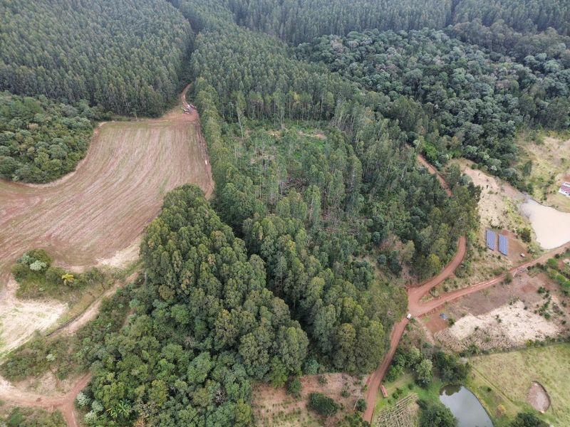 Área Rural com 41.746,00m² em Água Doce/SC, localizado em Água Doce - SC