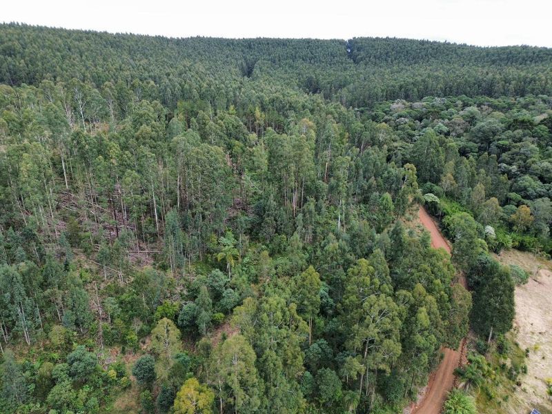 Área Rural com 41.746,00m² em Água Doce/SC, localizado em Água Doce - SC