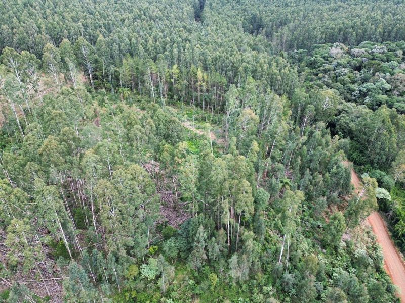 Área Rural com 41.746,00m² em Água Doce/SC, localizado em Água Doce - SC