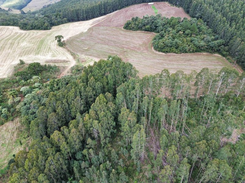 Área Rural com 41.746,00m² em Água Doce/SC, localizado em Água Doce - SC
