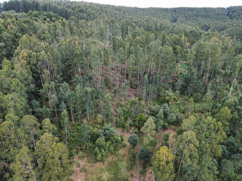 Área Rural com 41.746,00m² em Água Doce/SC, localizado em Água Doce - SC