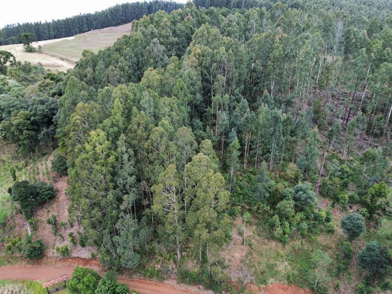 Área Rural com 41.746,00m² em Água Doce/SC, localizado em Água Doce - SC