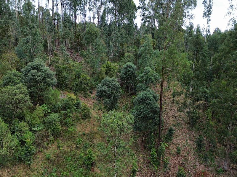 Área Rural com 41.746,00m² em Água Doce/SC, localizado em Água Doce - SC