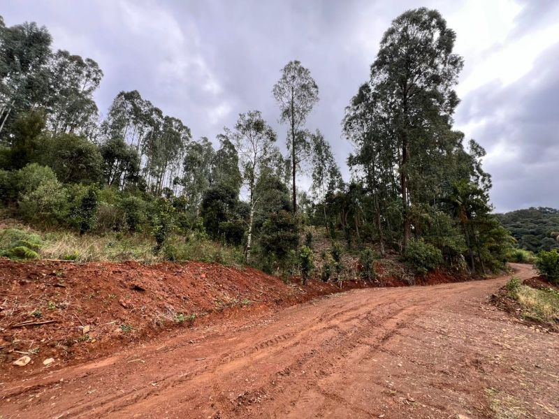 Área Rural com 41.746,00m² em Água Doce/SC, localizado em Água Doce - SC