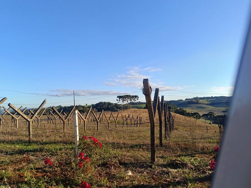 Terreno rural com 110.416,00m², localizado em Floriano Peixoto - RS