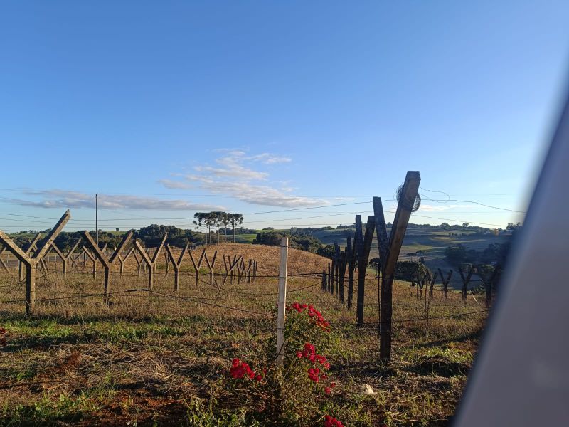 Terreno rural com 110.416,00m², localizado em Floriano Peixoto - RS