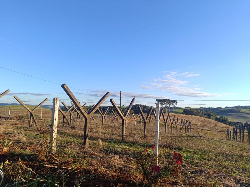 Terreno rural com 110.416,00m², localizado em Floriano Peixoto - RS